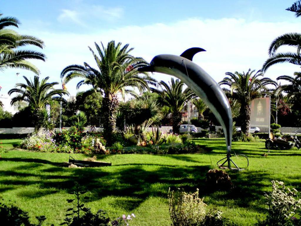 Hotel Delphin Habib 4*